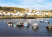 Two premises visited along the Yorkshire Coast following reports of Covid breaches 12 Two premises visited along the Yorkshire Coast following reports of Covid breaches 7